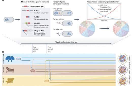 HKU Engineering Research Team Develops New Framework to Track Antimicrobial Resistance across Human, Animal, and Environmental Sectors